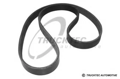 V-Ribbed Belts TRUCKTEC AUTOMOTIVE купить