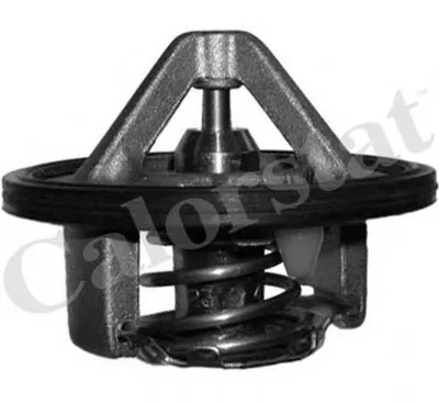 Термостат, охлаждающая жидкость CALORSTAT by Vernet купить