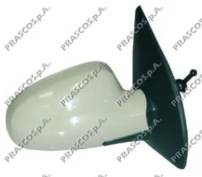 Наружное зеркало PRASCO купить