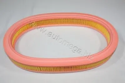 Воздушный фильтр AutoMega Premium AUTOMEGA купить