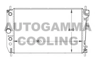 Радиатор, охлаждение двигателя AUTOGAMMA купить