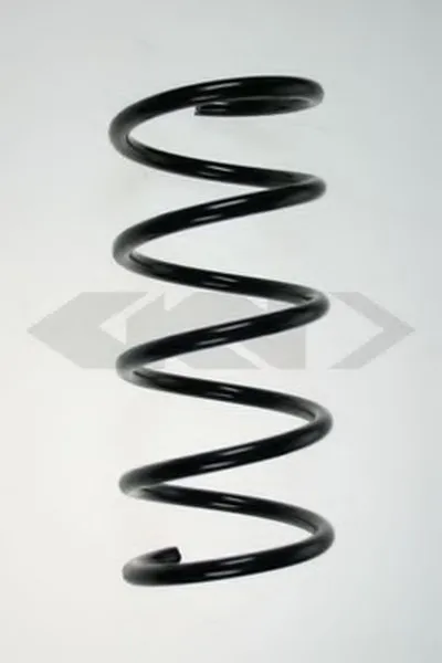 винтовая пружина SPIDAN купить