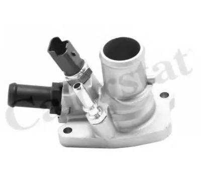 Термостат, охлаждающая жидкость CALORSTAT by Vernet купить