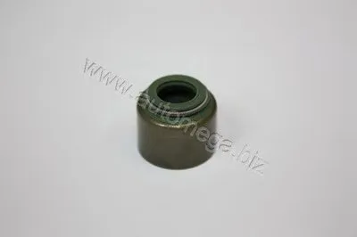 Уплотнительное кольцо, стержень кла AutoMega Premium AUTOMEGA купить