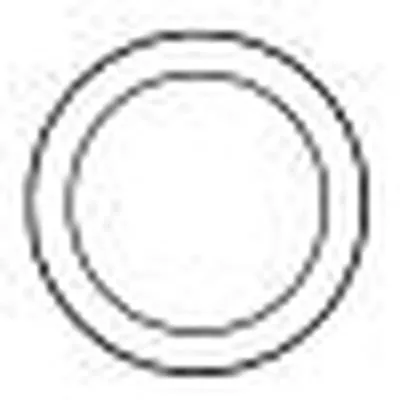 Уплотнительное кольцо, труба выхлопного газа SIGAM купить