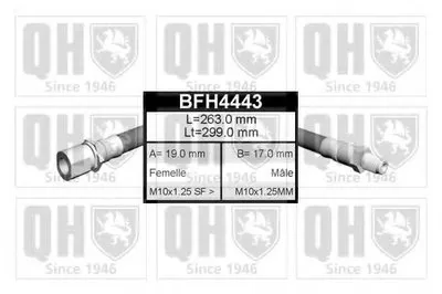 Тормозной шланг QUINTON HAZELL купить