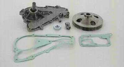 Водяной насос TRISCAN купить