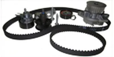 Водяной насос + комплект зубчатого ремня Saleri SIL купить