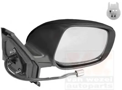 Наружное зеркало VAN WEZEL купить