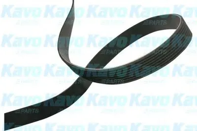 V-Ribbed Belts KAVO PARTS купить
