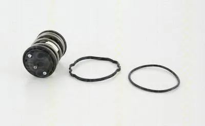 Термостат, охлаждающая жидкость TRISCAN купить