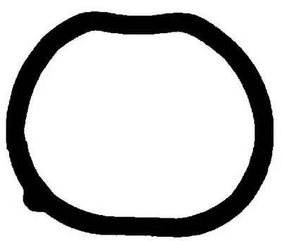 Прокладка, впускной коллектор AJUSA купить