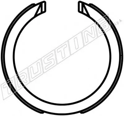Комплект тормозных колодок, стояночная тормозная система TRUSTING купить