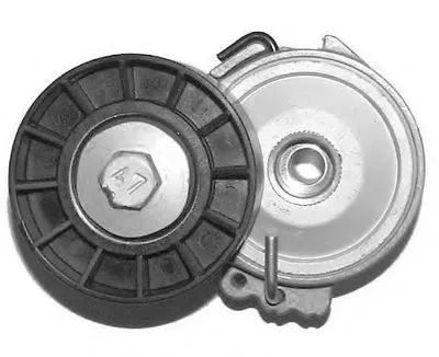 Натяжитель ремня, клиновой зубча Metalcaucho купить