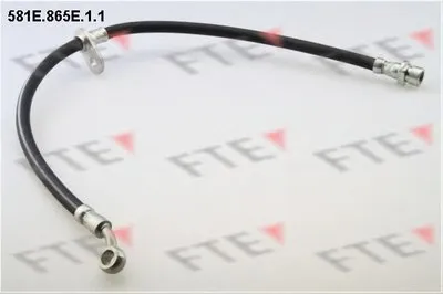 Тормозной шланг FTE купить