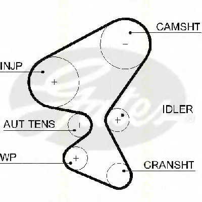 Ремень ГРМ TRISCAN купить