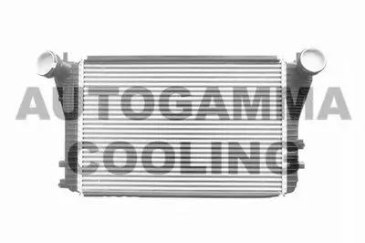 Интеркулер AUTOGAMMA купить