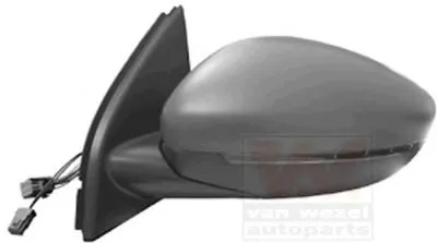 Наружное зеркало VAN WEZEL купить