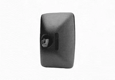 Наружное зеркало VAN WEZEL купить