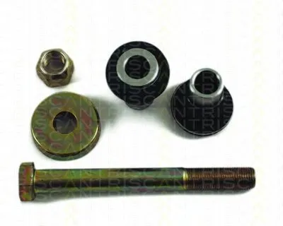 Маятниковый рычаг TRISCAN купить