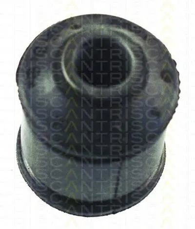 Подвеска, рычаг независимой подвески колеса TRISCAN купить