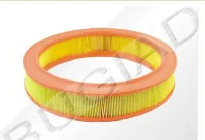 Воздушный фильтр BUGIAD купить