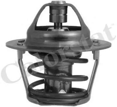 Термостат, охлаждающая жидкость CALORSTAT by Vernet купить