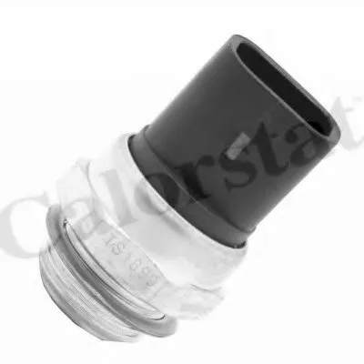 Термовыключатель, вентилятор радиатора CALORSTAT by Vernet купить