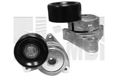 Натяжитель ремня, клиновой зубча AUTOTEAM купить