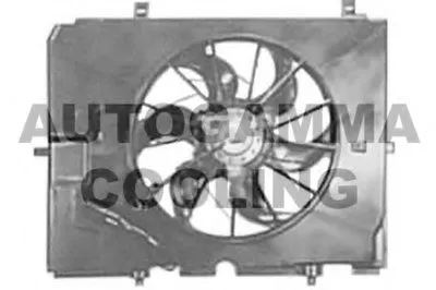 Вентилятор, охлаждение двигателя AUTOGAMMA купить