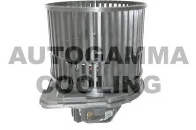 Вентиляция салона AUTOGAMMA купить