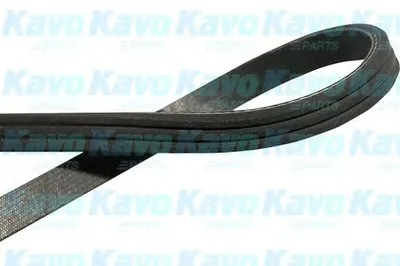 V-Ribbed Belts KAVO PARTS купить