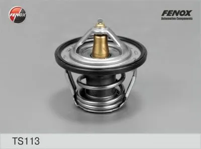 Термостат, охлаждающая жидкость FENOX купить