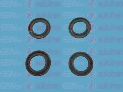 Ремкомплект, главный тормозной цилиндр AUTOFREN SEINSA купить