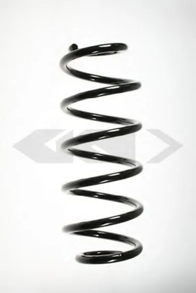 винтовая пружина SPIDAN купить