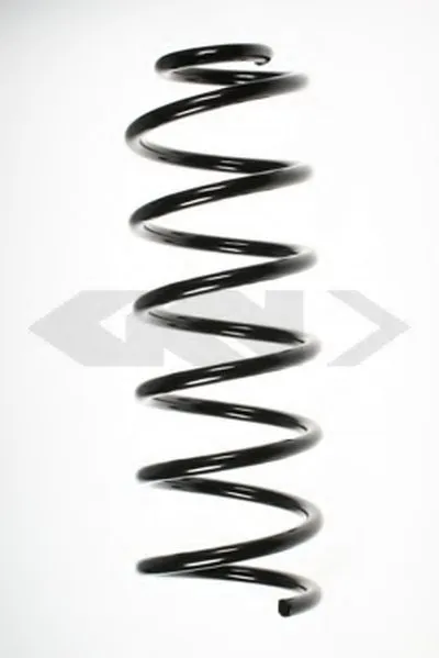 винтовая пружина SPIDAN купить