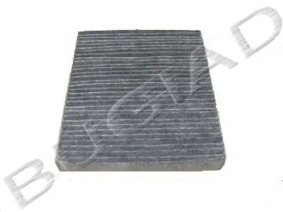 Воздушный фильтр BUGIAD купить