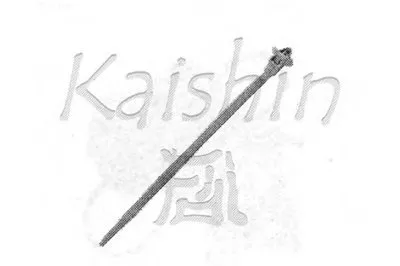 Кузов KAISHIN купить