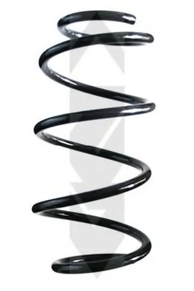винтовая пружина SPIDAN купить