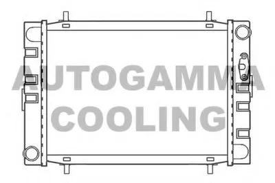 Радиатор, охлаждение двигателя AUTOGAMMA купить