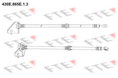 Тормозной шланг FTE купить