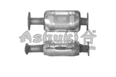 Катализатор для переоборудования ASHUKI купить