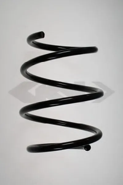 винтовая пружина SPIDAN купить