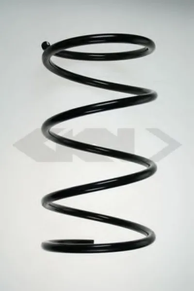 винтовая пружина SPIDAN купить