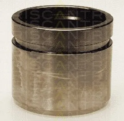 Поршень, корпус скобы тормоза TRISCAN купить