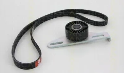 Поликлиновой ременный комплект TRISCAN купить