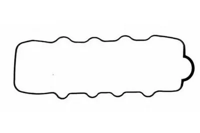 Прокладка, крышка головки цилиндра PAYEN купить