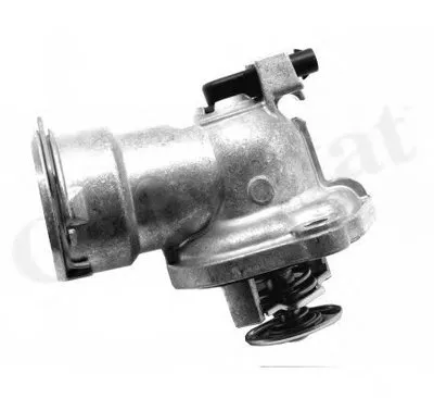 Термостат, охлаждающая жидкость CALORSTAT by Vernet купить