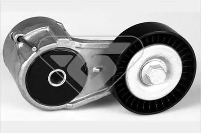 Натяжной ролик, поликлиновой  ремень HUTCHINSON купить