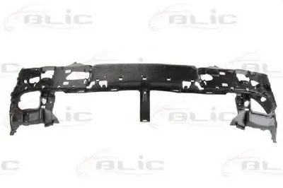 Носитель, буфер BLIC купить